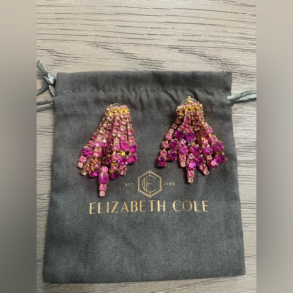 Elizabeth Cole Bette Earrings in Pink - Picture 4 of 7